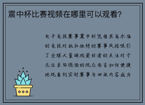 震中杯比赛视频在哪里可以观看？